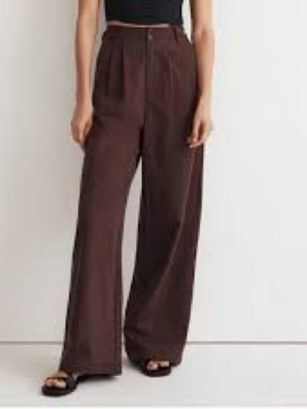Petite Harlow Wide-Leg Brown Women's Pants